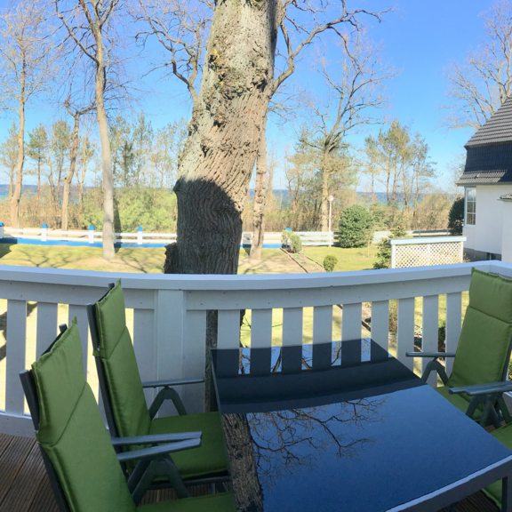 Balkon_Seeblume1.png 