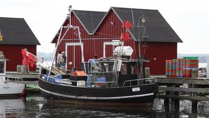 Ein_Ausflug_mit_dem_Fischkutter_Uschi.jpg