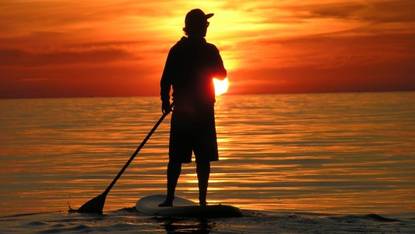 Stand_up_paddling.jpg